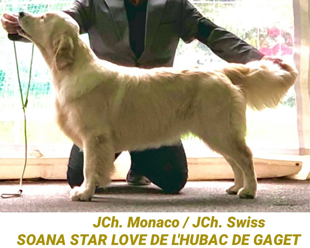 Soana star love de l'Hubac de Gaget